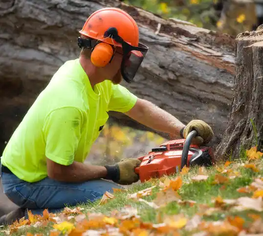 tree services Conrad